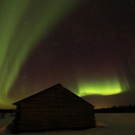 Lapland Northern Lights Hotel Ilveslinna Ranua Extérieur photo