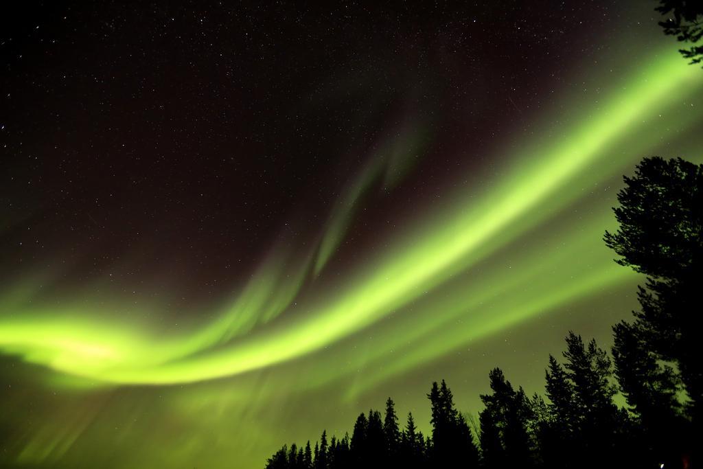 Lapland Northern Lights Hotel Ilveslinna Ranua Extérieur photo