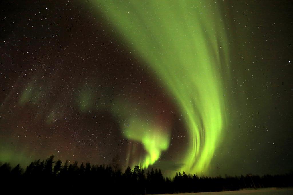 Lapland Northern Lights Hotel Ilveslinna Ranua Extérieur photo