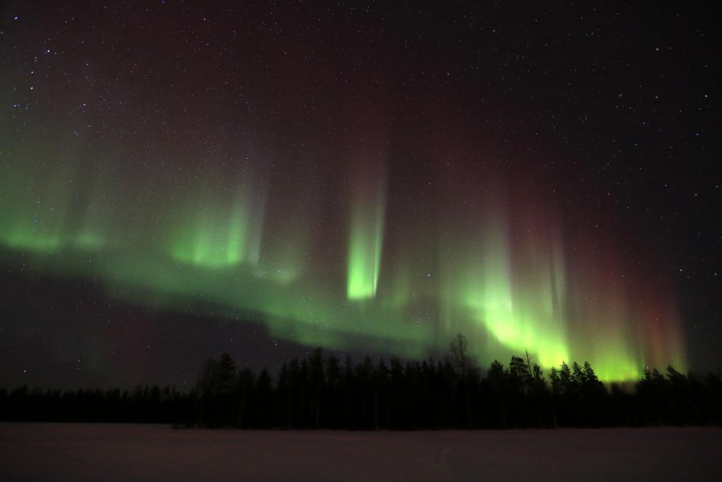 Lapland Northern Lights Hotel Ilveslinna Ranua Extérieur photo