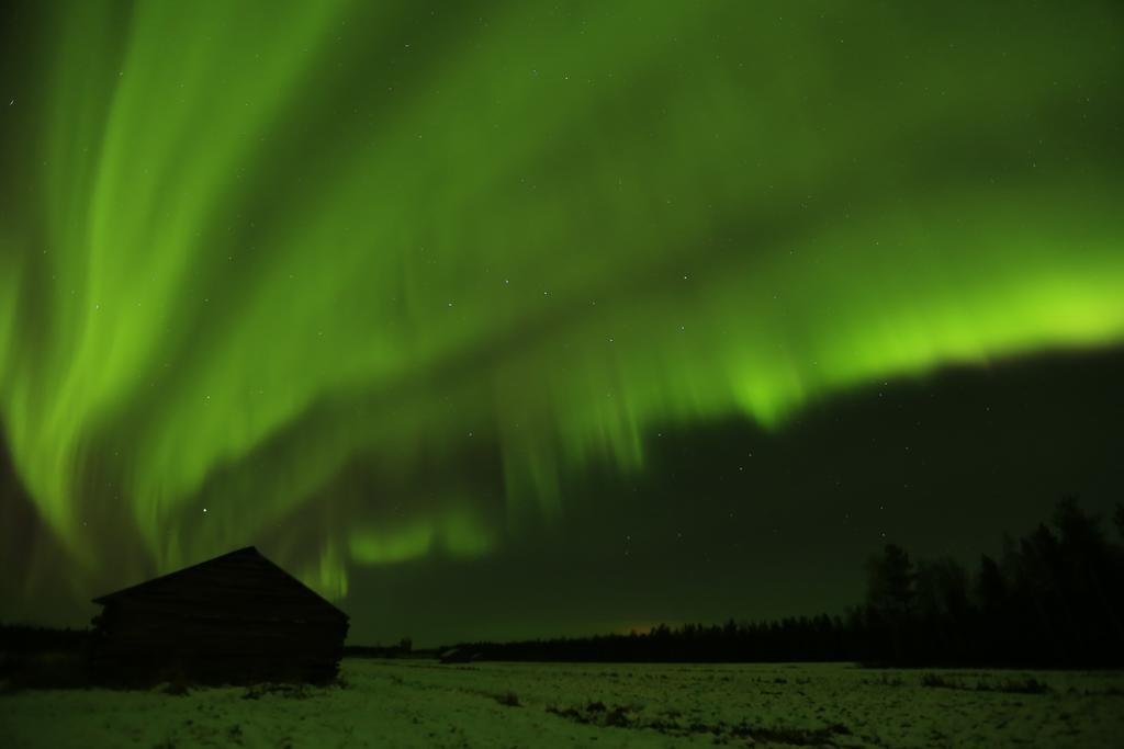 Lapland Northern Lights Hotel Ilveslinna Ranua Extérieur photo
