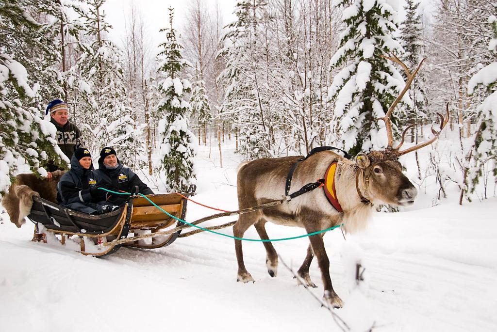 Lapland Northern Lights Hotel Ilveslinna Ranua Extérieur photo