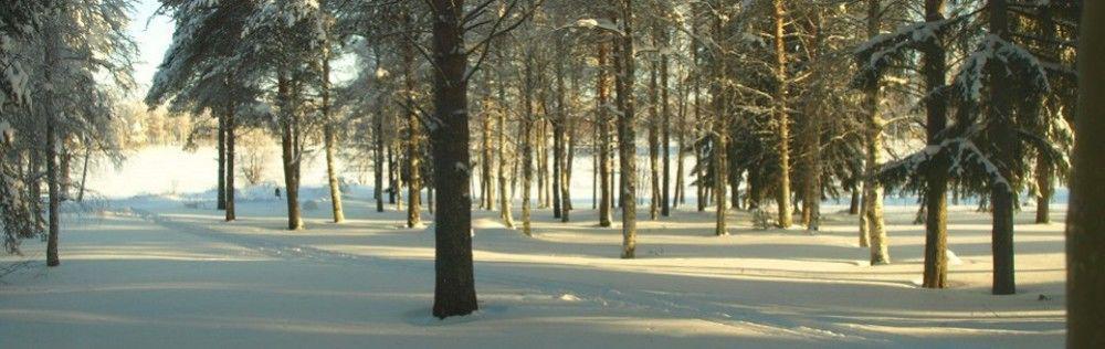 Lapland Northern Lights Hotel Ilveslinna Ranua Extérieur photo