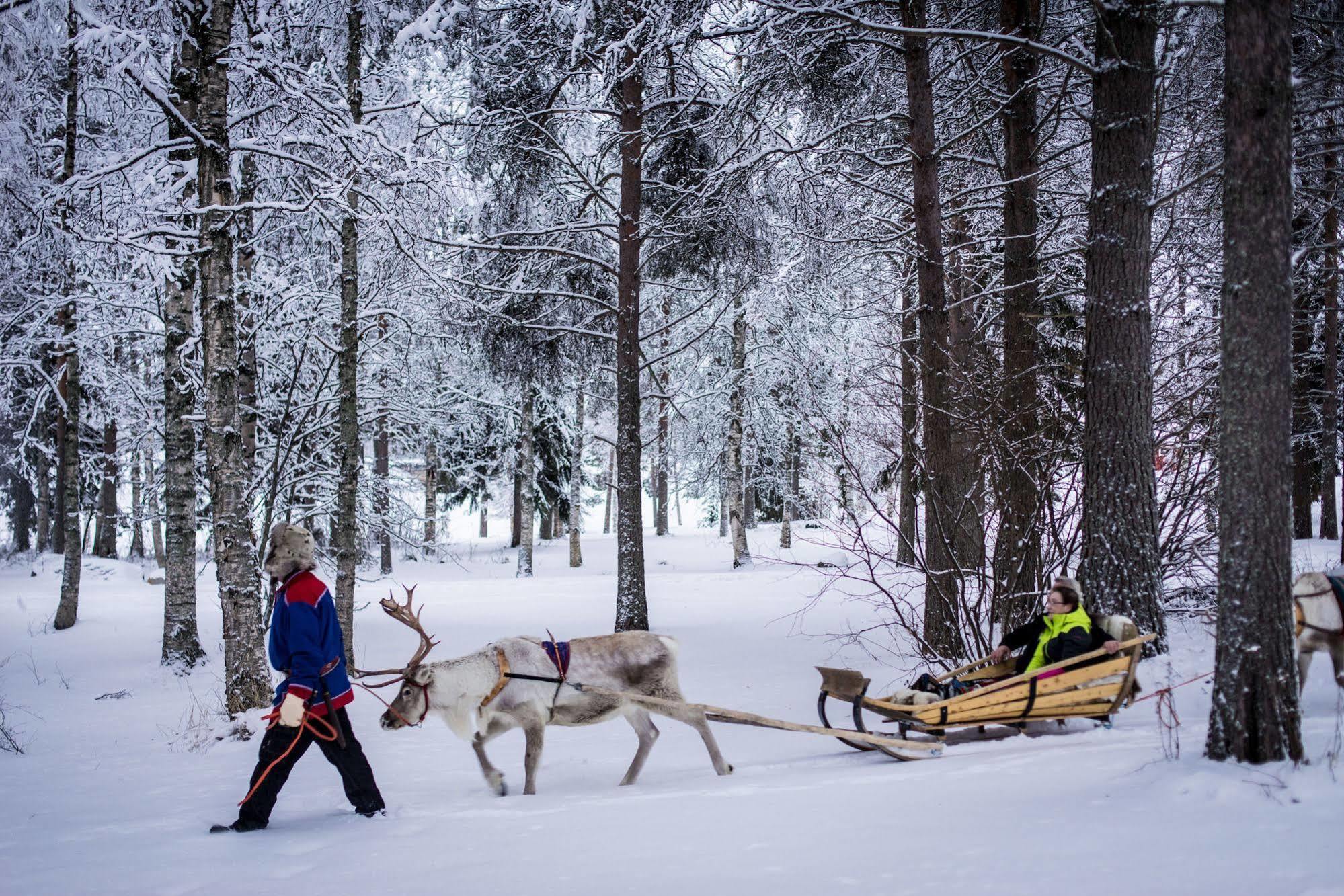 Lapland Northern Lights Hotel Ilveslinna Ranua Extérieur photo