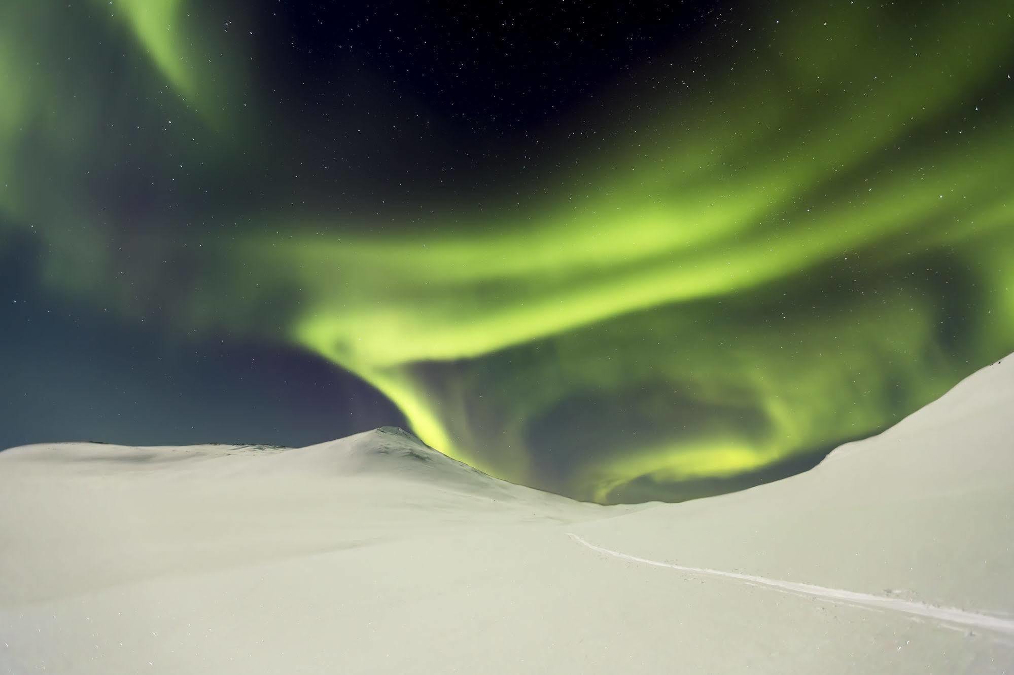 Lapland Northern Lights Hotel Ilveslinna Ranua Extérieur photo