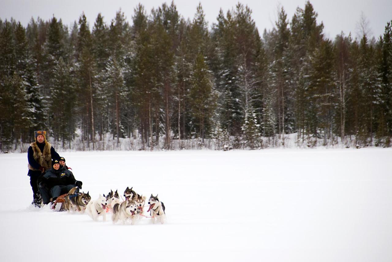 Lapland Northern Lights Hotel Ilveslinna Ranua Extérieur photo