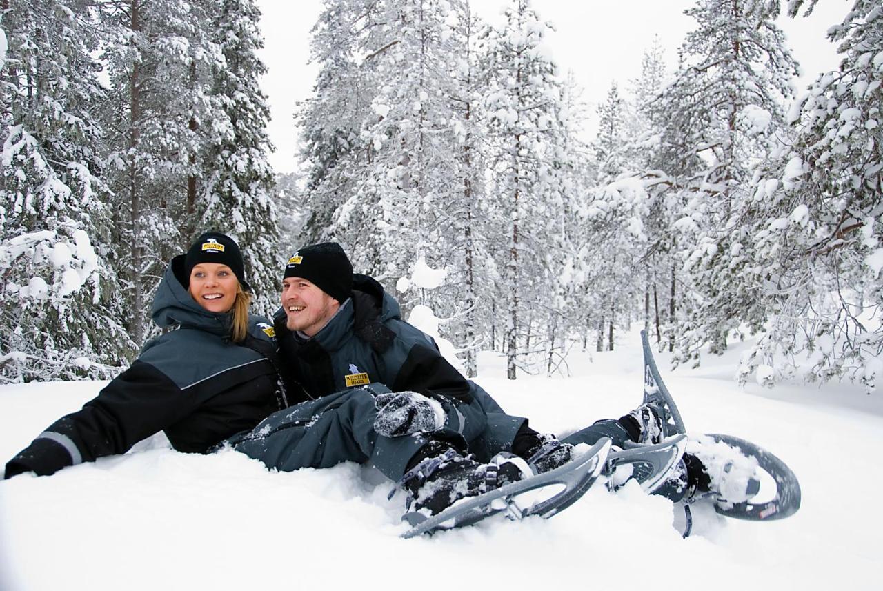 Lapland Northern Lights Hotel Ilveslinna Ranua Extérieur photo
